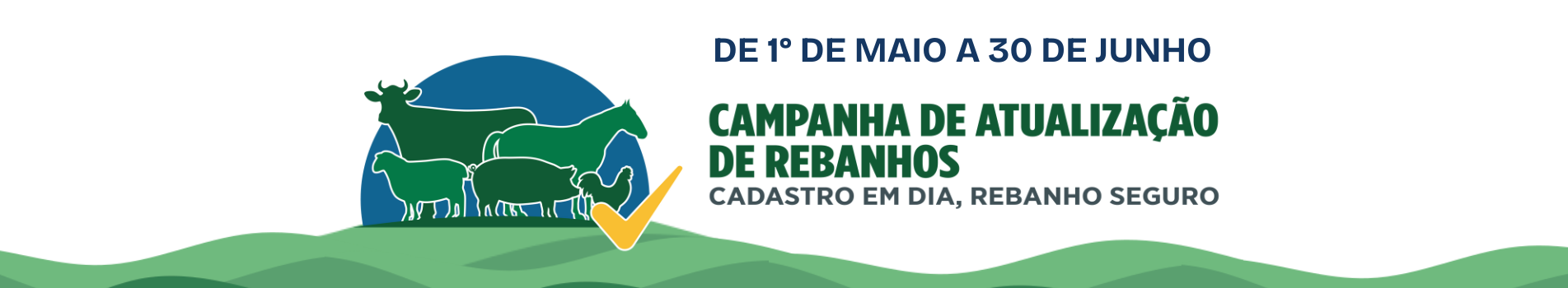 CAMPANHA