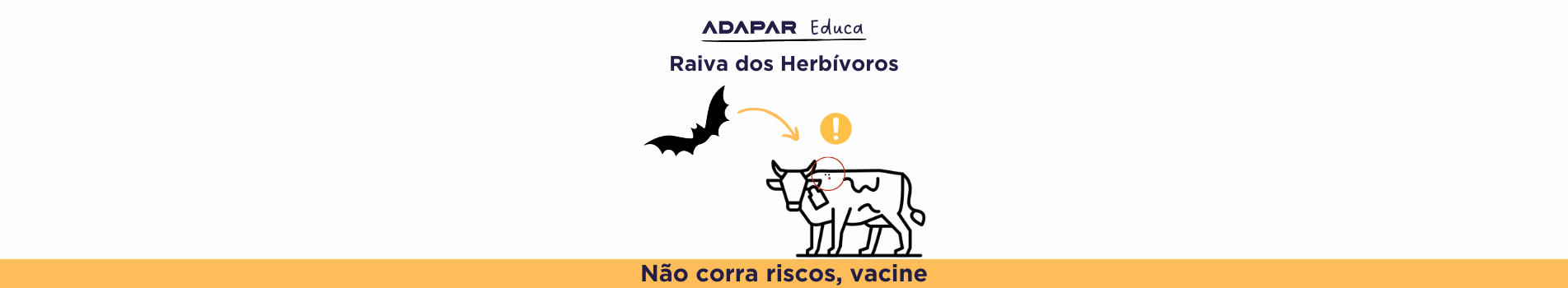 EDUCA