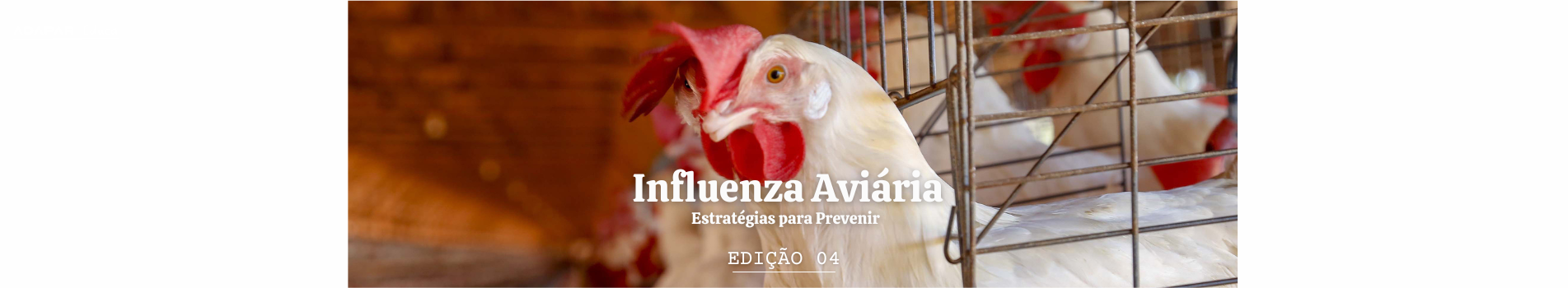 EDUCA
