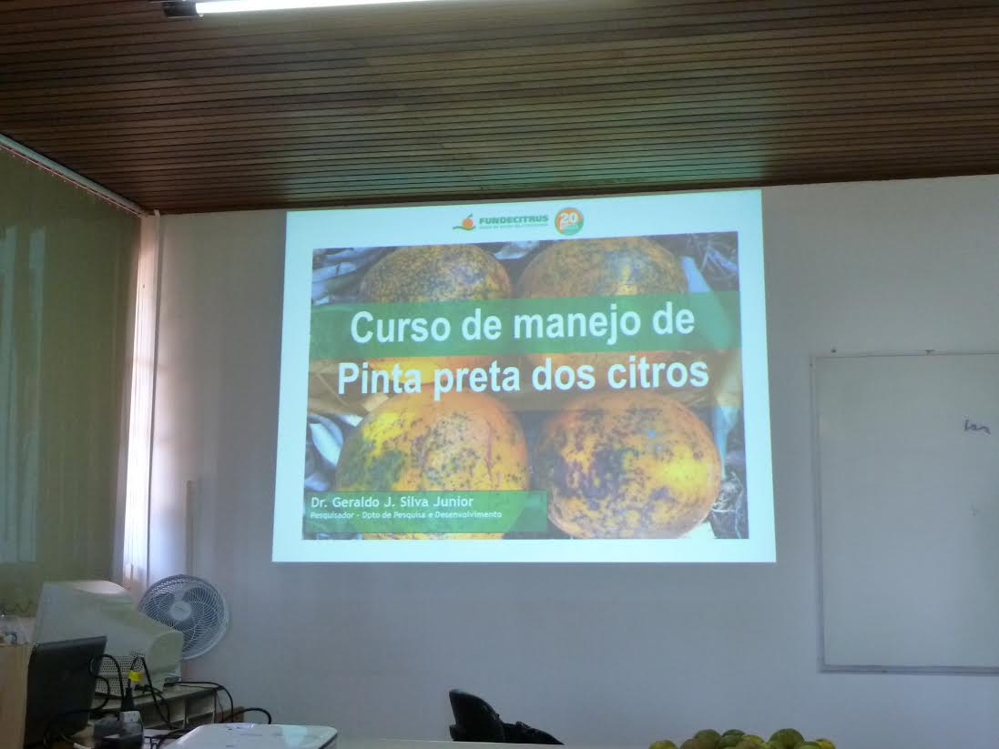 Fiscais da Defesa Sanitária Vegetal da ADAPAR, das URS de Apucarana, Cornélio Procópio, Londrina, Maringá e Paranavaí, participaram de Curso sobre Pinta Preta dos Citros