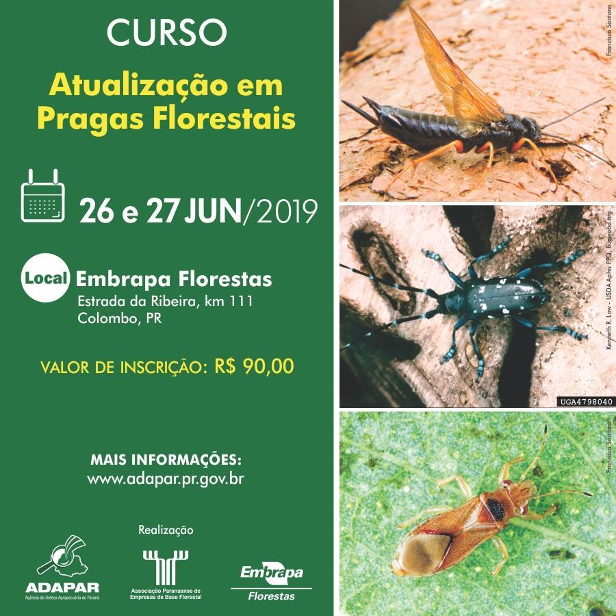 I Curso de atualização em pragas florestais