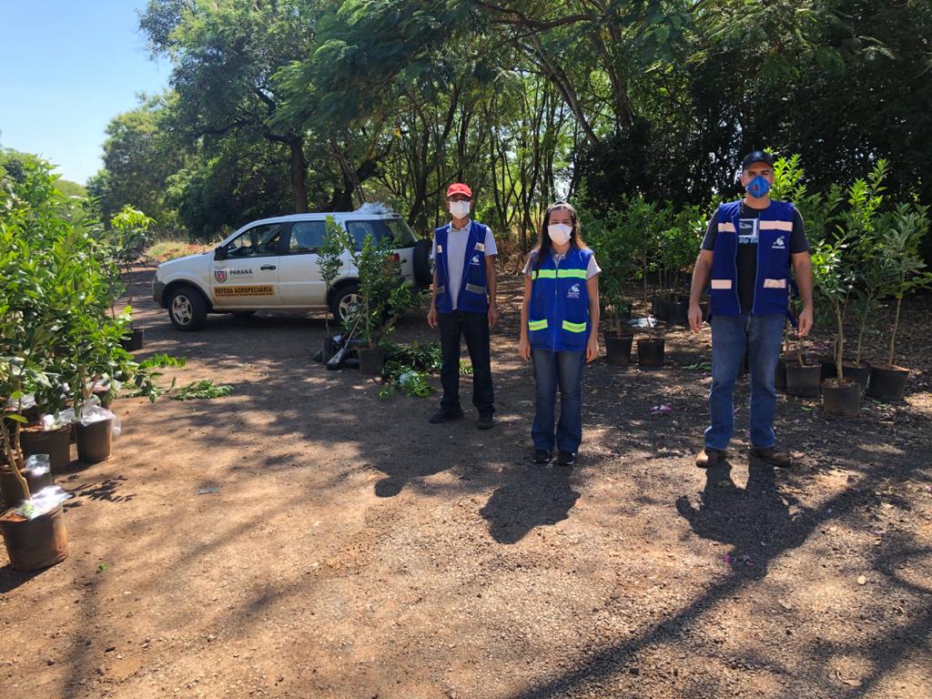 Ações de defesa vegetal garantem segurança alimentar na pandemia