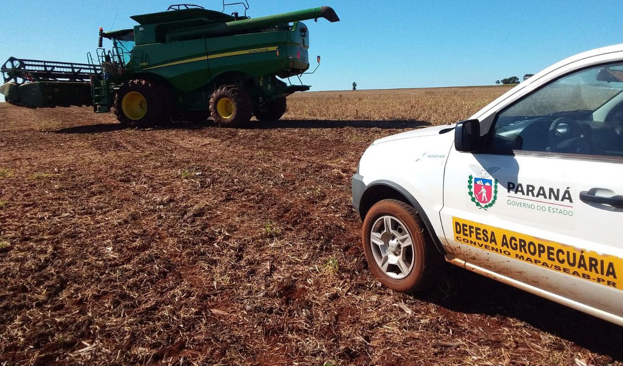 Ações de defesa vegetal garantem segurança alimentar na pandemia