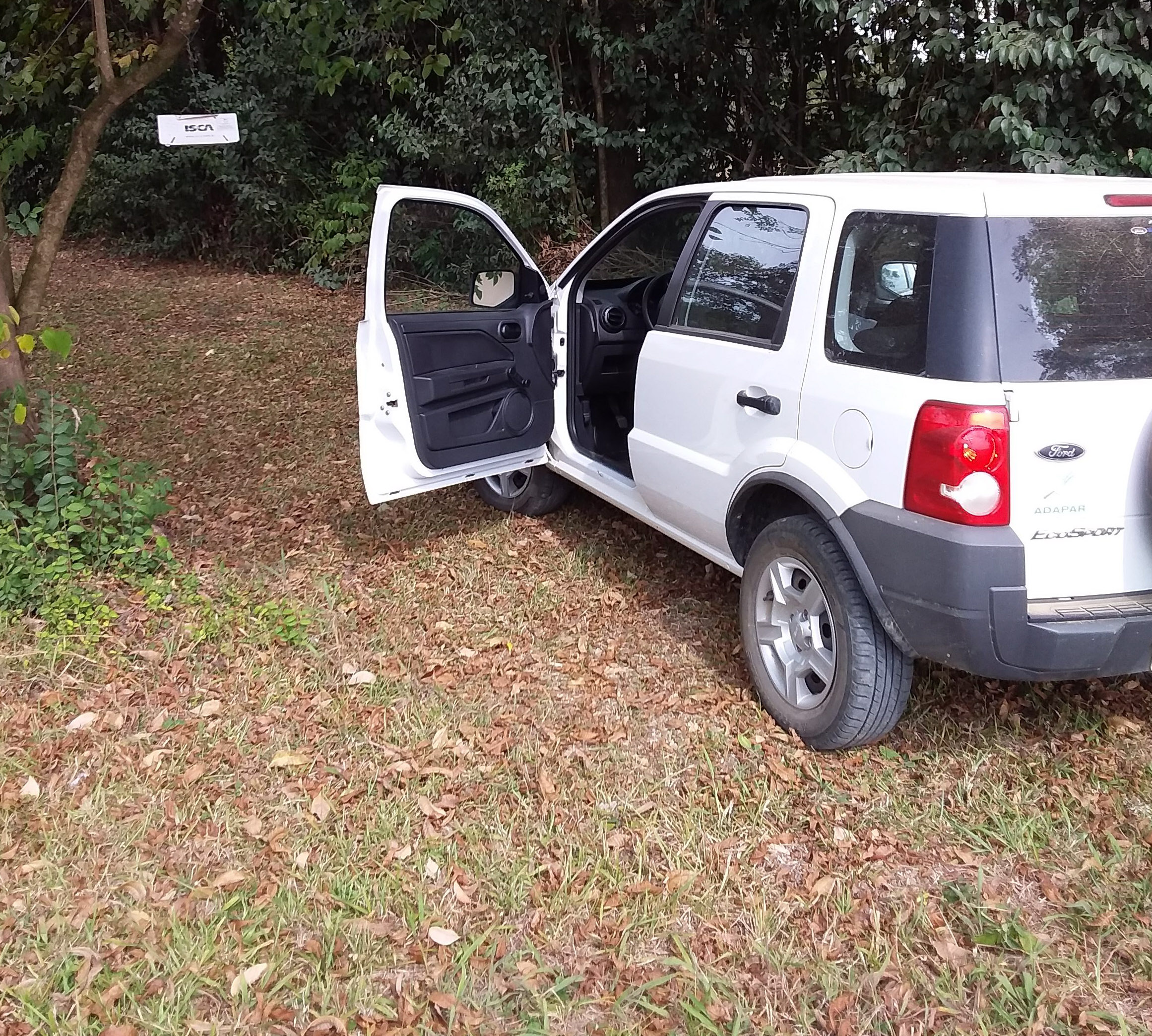 Ações de defesa vegetal garantem segurança alimentar na pandemia