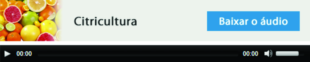 Citricultura