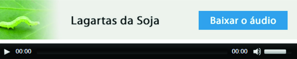 Lagartas da Soja