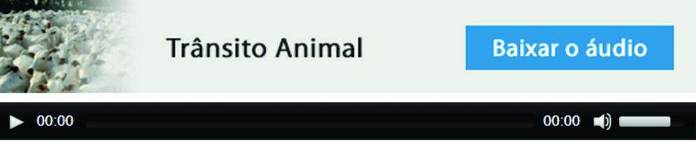 Trânsito Animal