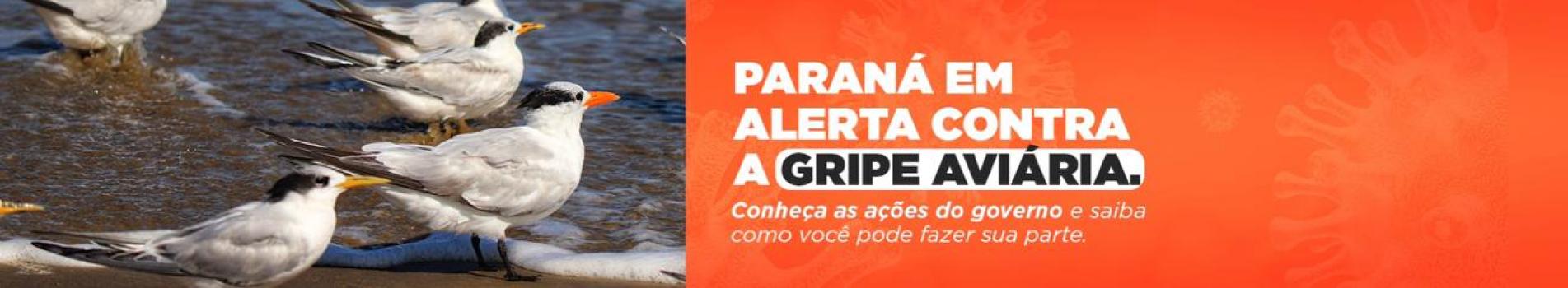 PARANA CONTRA A GRIPE AVIARIA