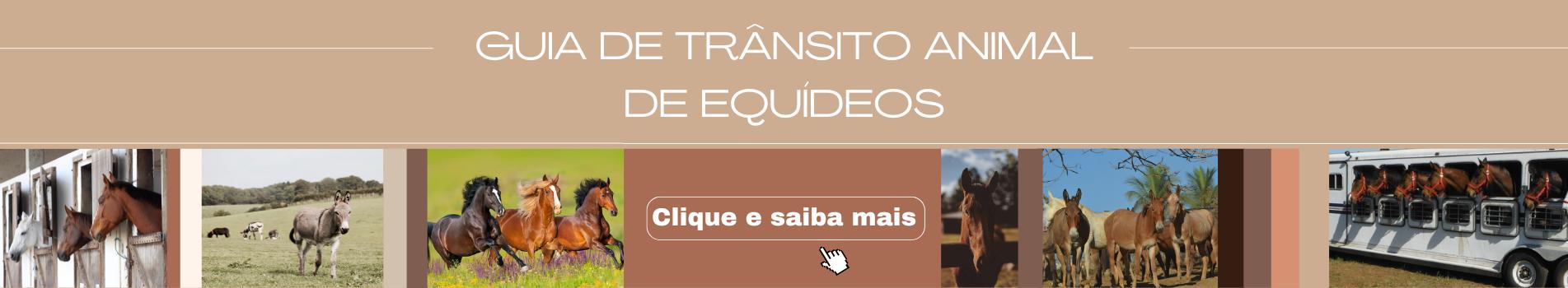 emissão de GTA de equídeos