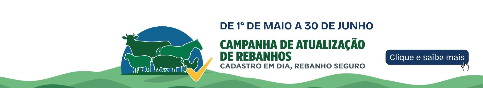 REBANHO