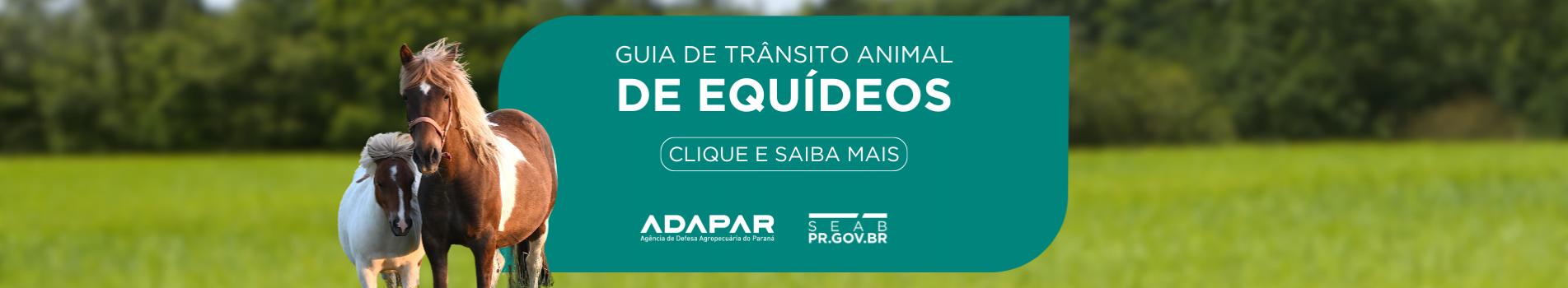 Guia de Transito Animal de Equideos