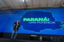 Governador destaca expansão contínua da produção de proteína animal na AveSui 2025