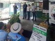 Selo Adapar de Boas Práticas Agrícolas é entregue para nove produtores em Guaratuba