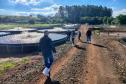 Adapar inicia projeto de biosseguridade na produção de tilápia com instituto norueguês