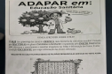 Adapar leva ações de educação sanitária na festa da ponkan de Cerro Azul