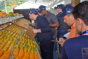 Adapar leva ações de educação sanitária na festa da ponkan de Cerro Azul