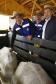 Governador Beto Richa lança junto com o secretário da Agricultura e do Abastecimento, Norberto Ortigara e o diretor presidente da Adapar, Inácio Kroetz, Campanha Estadual de Vacinação contra Febre Aftosa de 2014. Campo Magro, 30-04-14