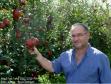 Pomar de maçã Fuji em Palmas-PR e o coordenador do Programa de Sanidade da Fruticultura da ADAPAR, Paulo Pazin Marques.