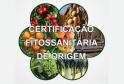 II Semana Integrada de Cursos CFO / CFOC