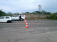 Adapar Participa de Treinamento de Emergência em Febre Aftosa no RS