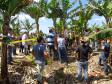 Adapar Promove Dia de Campo sobre Bananicultura em Guaratuba
