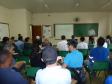 Adapar Realiza Seminários Sobre Pragas do Eucalipto