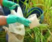 Adapar Alerta Agricultores com Relação aos Agrotóxicos Originados de Contrabando
