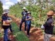 Adapar participa de Simulado em Emergência Fitossanitária em Fraiburgo.