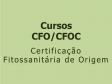 CursosCFOmenor
