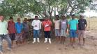 Sanidade dos Suínos: Adapar coopera com o governo de Alagoas nos focos de peste suína clássica