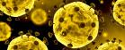 Adapar alerta sobre o Novo Coronavirus
