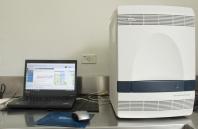 Laboratório da Adapar é credenciado para diagnóstico de Influenza Aviária e Doença de Newcastle por PCR em tempo real
