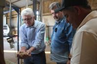 Cooperação, assistência técnica e sucessão familiar fortalecem a cafeicultura do Paraná