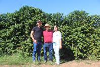 Cooperação, assistência técnica e sucessão familiar fortalecem a cafeicultura do Paraná