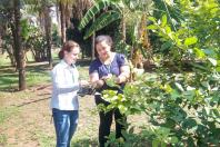 Fiscalização e reforço nas medidas de prevenção e controle do HLB (Huanglongbing) ou greening, uma das principais pragas que afetam os citros no mundo