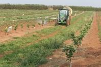 Fiscalização e reforço nas medidas de prevenção e controle do HLB (Huanglongbing) ou greening, uma das principais pragas que afetam os citros no mundo