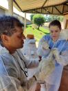 Adapar encerra a vigilância ativa de aves 