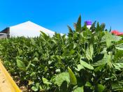 copagril agroshow 2