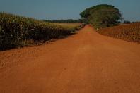 estradas vicinais