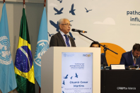 Reunião Global_FAO
