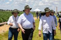 Dia de Campo da Copacol reforça o protagonismo do cooperativismo no agronegócio paranaense