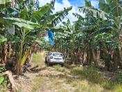 Fiscalização pela Adapar verificar o cumprimento do protocolo de produção