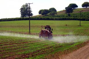Novo decreto federal exige capacitação para aplicadores de agrotóxico