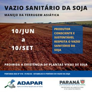 Vazio sanitário da soja começa em 10 de junho no Paraná
