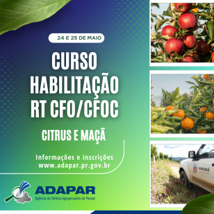 curso habilitacao