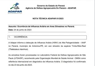 Nota gripe aviaria