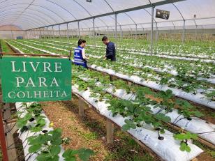 Propriedade Chácara Germinando | Ozanan Martins de Oliveira