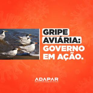 gripe aviaria