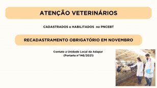 veterinarios2