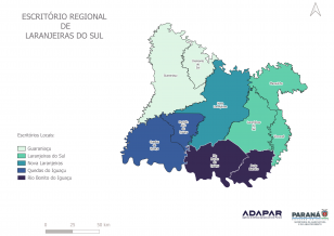 novo mapa